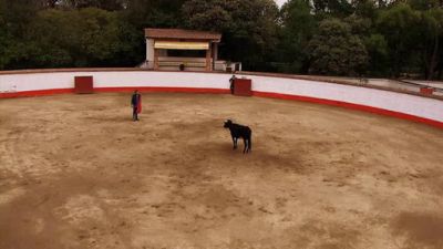 Amor Bravio Season 1 Episode 12