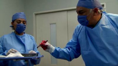 Amor Bravio Season 1 Episode 60