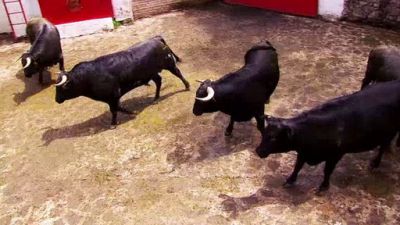 Amor Bravio Season 1 Episode 149