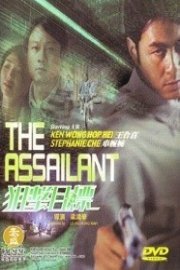 The Assailant