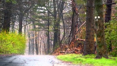 Breaking Amish Season 3 Episode 5