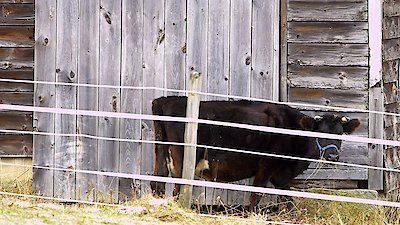 Breaking Amish Season 5 Episode 5