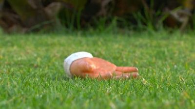 La Rosa de Guadalupe Season 1 Episode 57