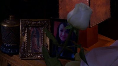 La Rosa de Guadalupe Season 1 Episode 209