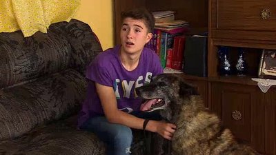 La Rosa de Guadalupe Season 1 Episode 431