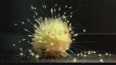 How It Works Season 1 Episode 54