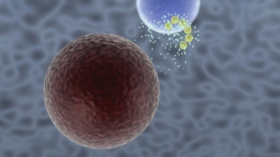 How It Works Season 1 Episode 53