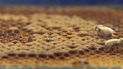 How It Works Season 1 Episode 57