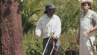 Lente Loco Season 6 Episode 25