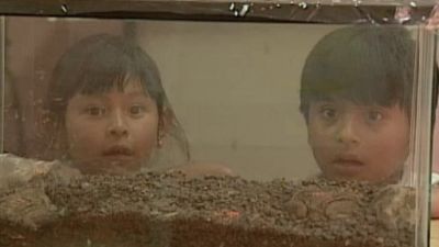 Lente Loco Season 6 Episode 19