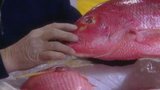 Explore the Fulton Fish Market