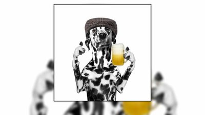 Dish Nation Season 4 Episode 223