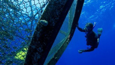 Alien Deep With Bob Ballard Season 1 Episode 5