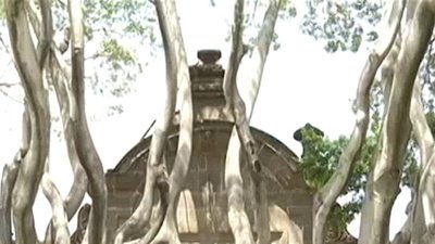 Extranormal Season 1 Episode 98