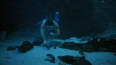 Fantasy Island Season 2 Episode 14