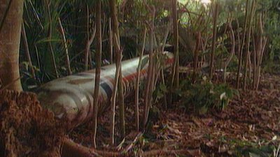 Tarzan Season 2 Episode 4