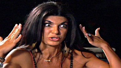 The Real Housewives of New Jersey Season 4 Episode 8