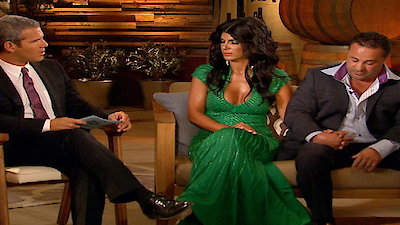 The Real Housewives of New Jersey Season 4 Episode 22