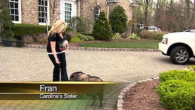 The Real Housewives of New Jersey Season 5 Episode 3