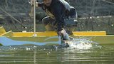 Walking on Water