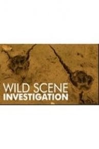 Wild Scene Investigation