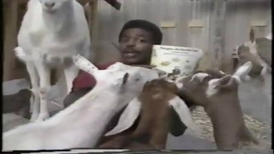 Reading Rainbow Season 1 Episode 2