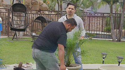 Larrymania Season 5 Episode 7