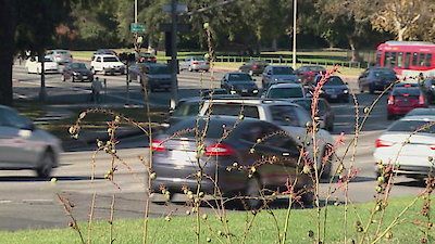 Larrymania Season 5 Episode 8