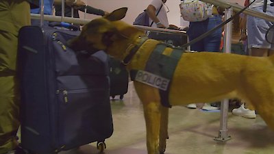 To Catch a Smuggler Season 4 Episode 4