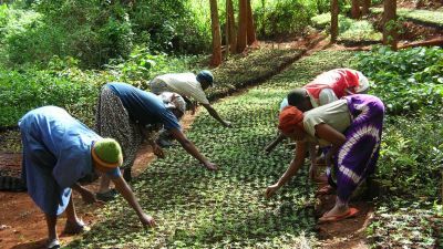 Global Voices Season 6 Episode 12