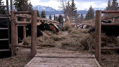 Alaska: The Last Frontier Season 5 Episode 101