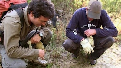 Biggest and Baddest Season 1 Episode 6