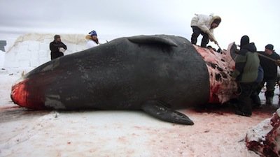 Inside Season 3 Episode 4