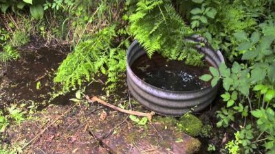 Buying Alaska Season 2 Episode 20