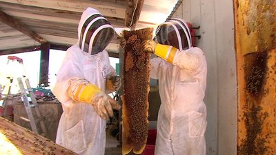 Risk Takers Season 1 Episode 12