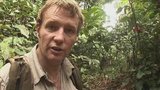 Jungle Trek: in Search of the Sumatran Rhino