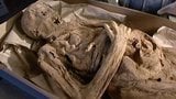 Mummies from the Crypt