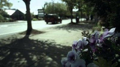 Motives & Murders: Cracking the Case Season 2 Episode 2