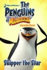 The Penguins of Madagascar, Skipper the Star