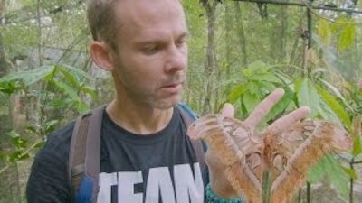 Wild Things With Dominic Monaghan Season 3 Episode 5