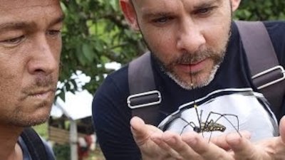 Wild Things With Dominic Monaghan Season 3 Episode 13