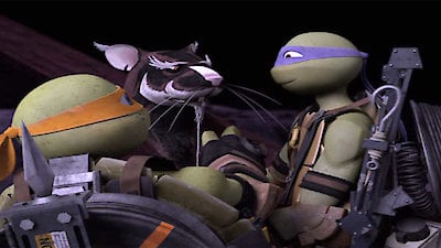 Teenage Mutant Ninja Turtles (2012) Season 4 Episode 21