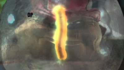 Plankton Invasion Season 2 Episode 1