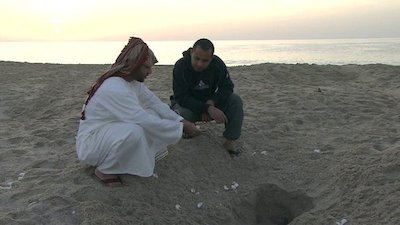 Green Paradise Season 2 Episode 8