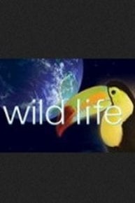 Wild Life