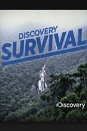Discovery Survival