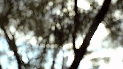 The Mind of a Chef Season 4 Episode 14