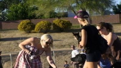 Sex Decoy: Love Stings Season 1 Episode 6