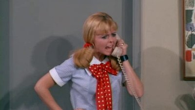 The Mothers-In-Law Season 2 Episode 17