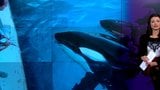 Blocking DC Weed, Pakistani Terror, Seaworldâ' Plunging Profits